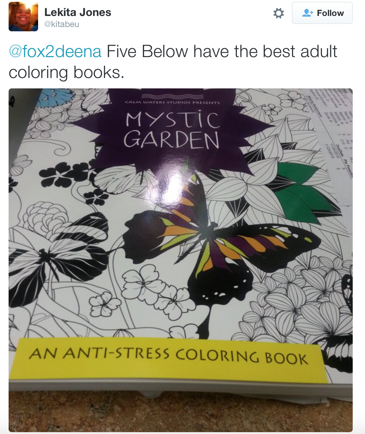 Five Below Adult Coloring Books
 Shopkins And Adult Coloring Books Likely To Drive Strong