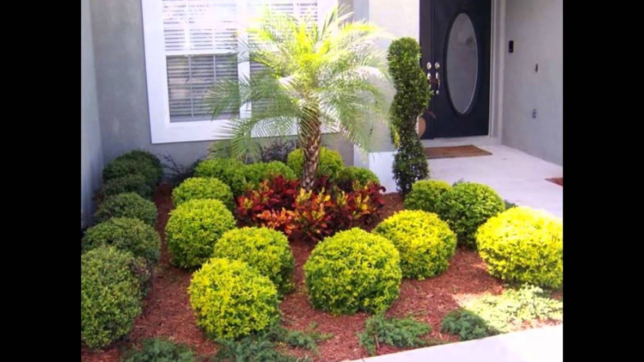 Florida Landscape Design
 Wonderful Landscape Design Ideas Florida with Tropical