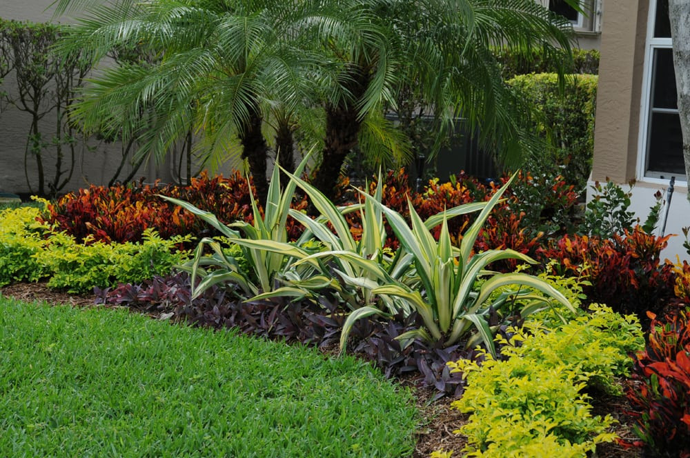 Florida Landscape Design
 Curb Appeal in Boca Raton Landscape Design