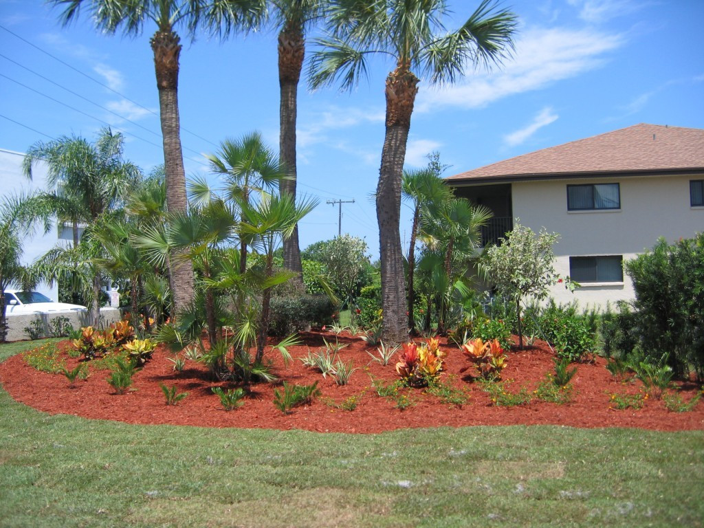 Florida Landscape Design Pictures
 Central Florida Landscaping s