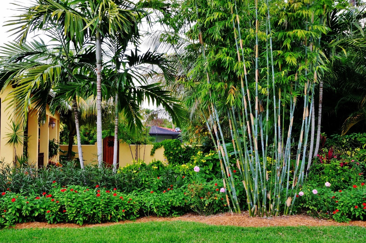 Florida Landscape Design
 Landscape ideas South Florida front yard Garden design