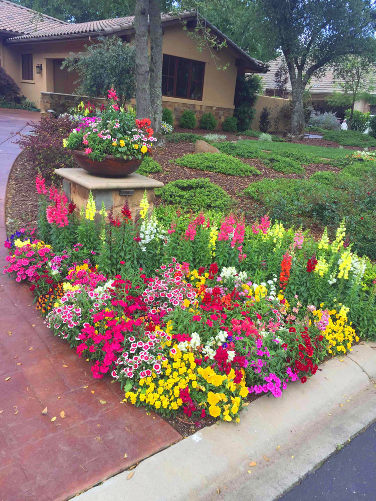 Flower Landscape Design
 Fall & Winter Flower Beds Landscape Makeover