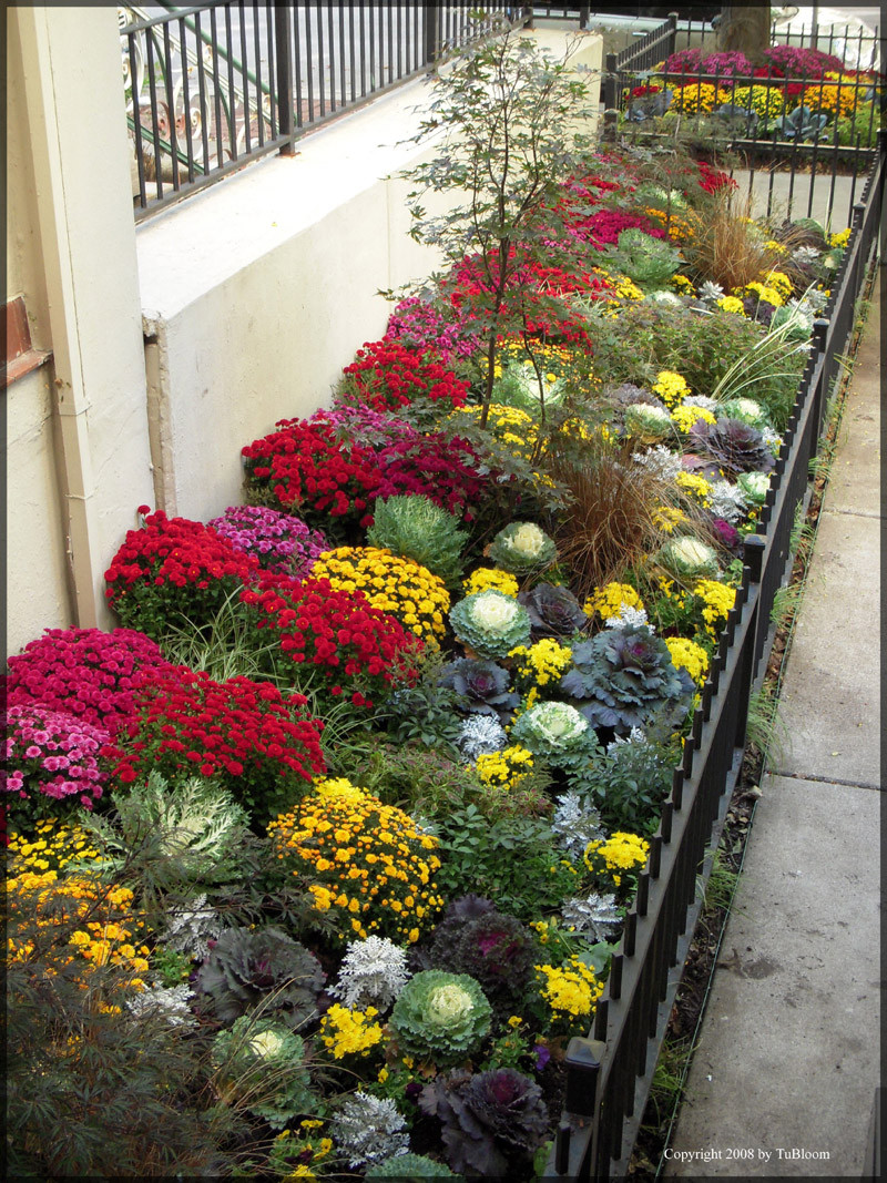 Flower Landscape Design
 BLOOM CHICAGO GARDEN LANDSCAPE DESIGN SERVICES