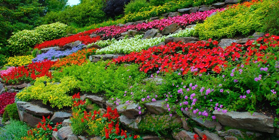 Flower Landscape Design
 How to Start a Flower Garden 3 Steps for Beginners