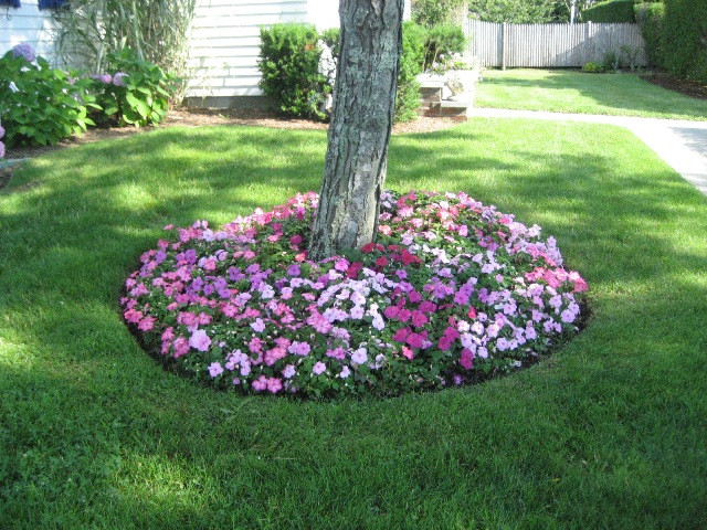 Flower Landscape Design
 Landscape Design