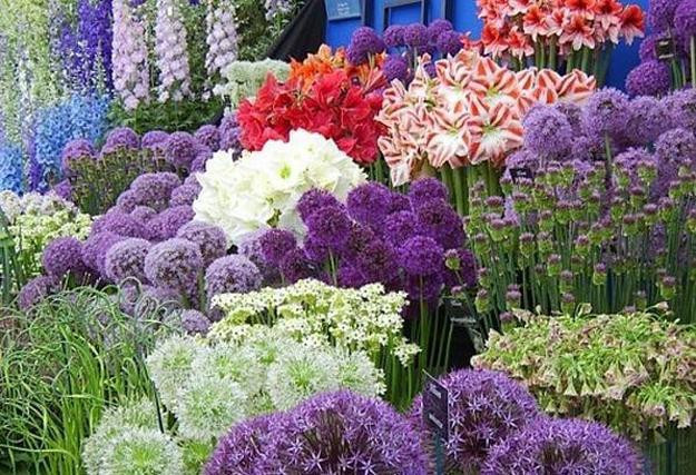 Flower Landscape Design
 33 Beautiful Flower Beds Adding Bright Centerpieces to