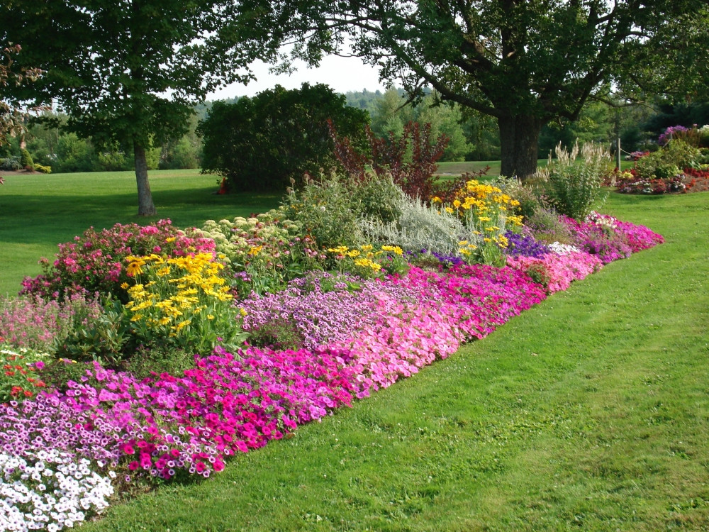 Flower Landscape Design
 DIY Re do a Tired Flower bed