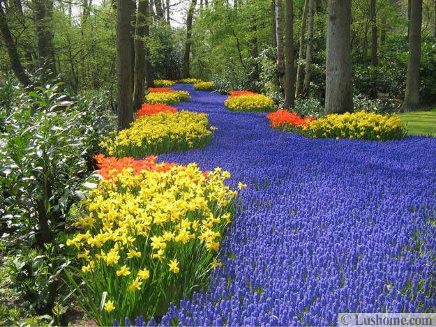 Flower Landscape Design
 Colorful Spring Flowers and Yard Landscaping Ideas