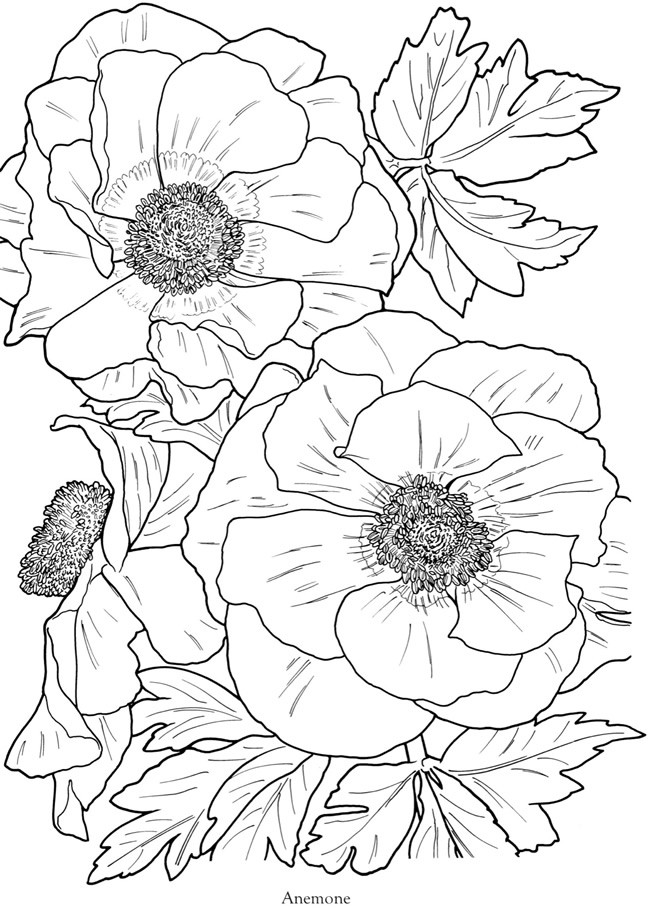 Flowers Coloring Pages For Adults
 flowers