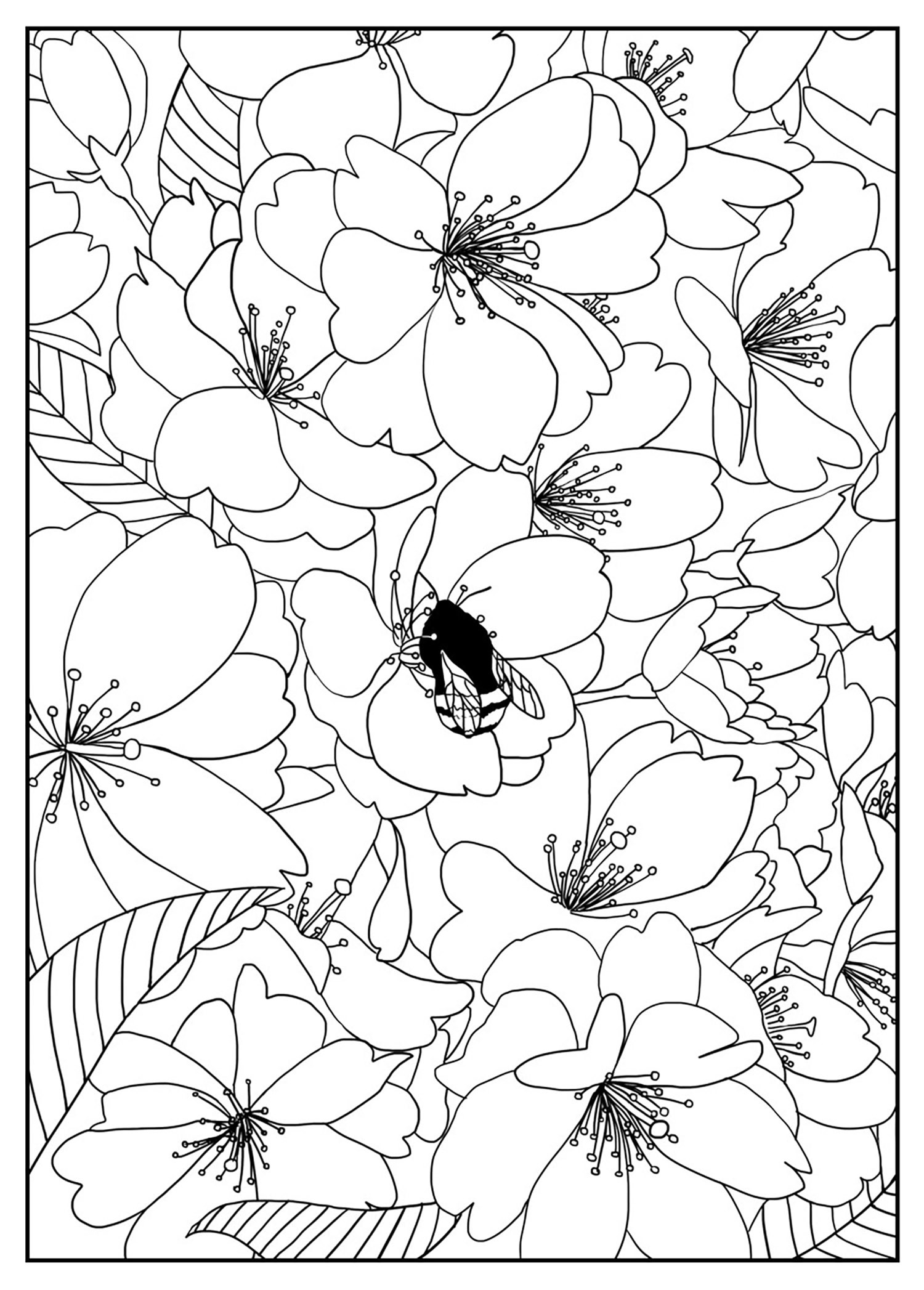 Flowers Coloring Pages For Adults
 Free Printable Flower Coloring Pages For Kids Best