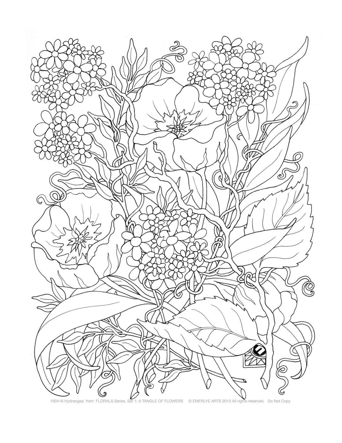 Flowers Coloring Pages For Adults
 Adult Coloring A Tangle of Flowers Set of 8 by emerlyearts