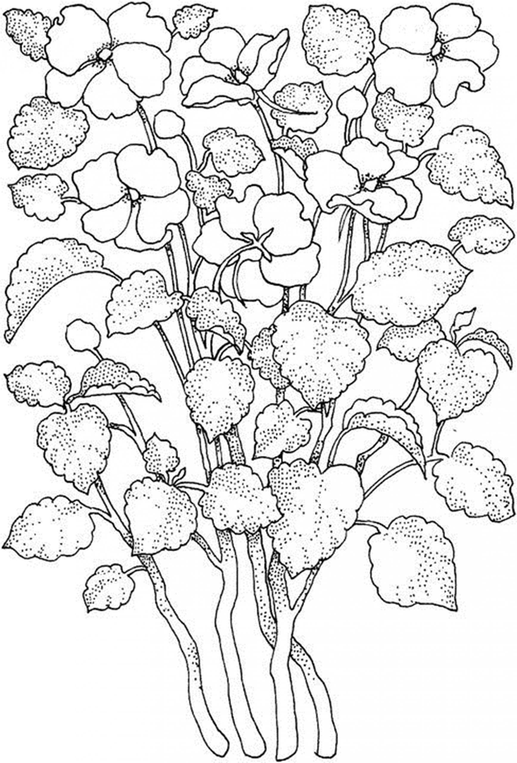 Flowers Coloring Pages For Adults
 Free Printable Flower Coloring Pages For Kids Best