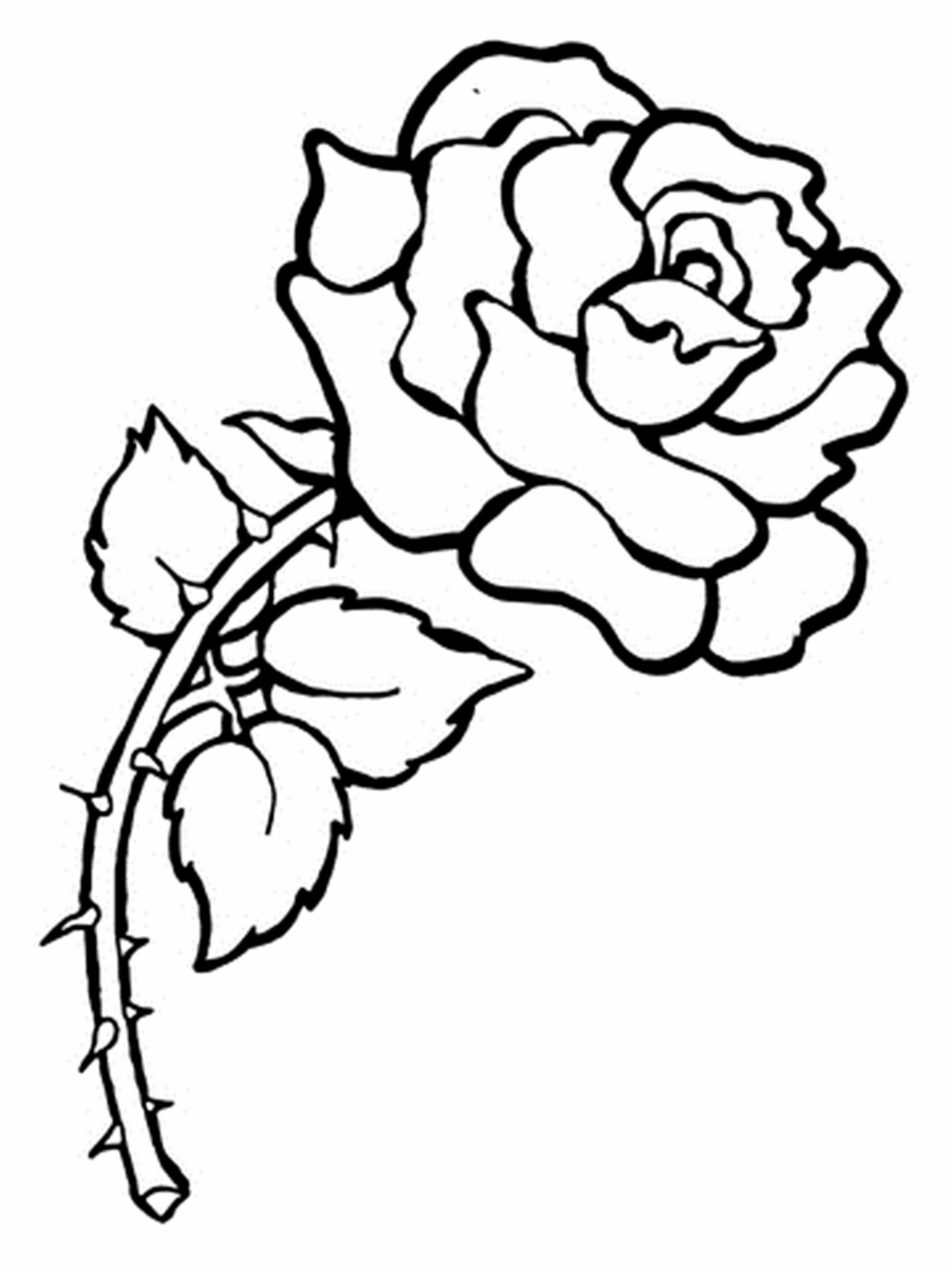 Flowers Coloring Pages For Kids
 Free Printable Flower Coloring Pages For Kids Best