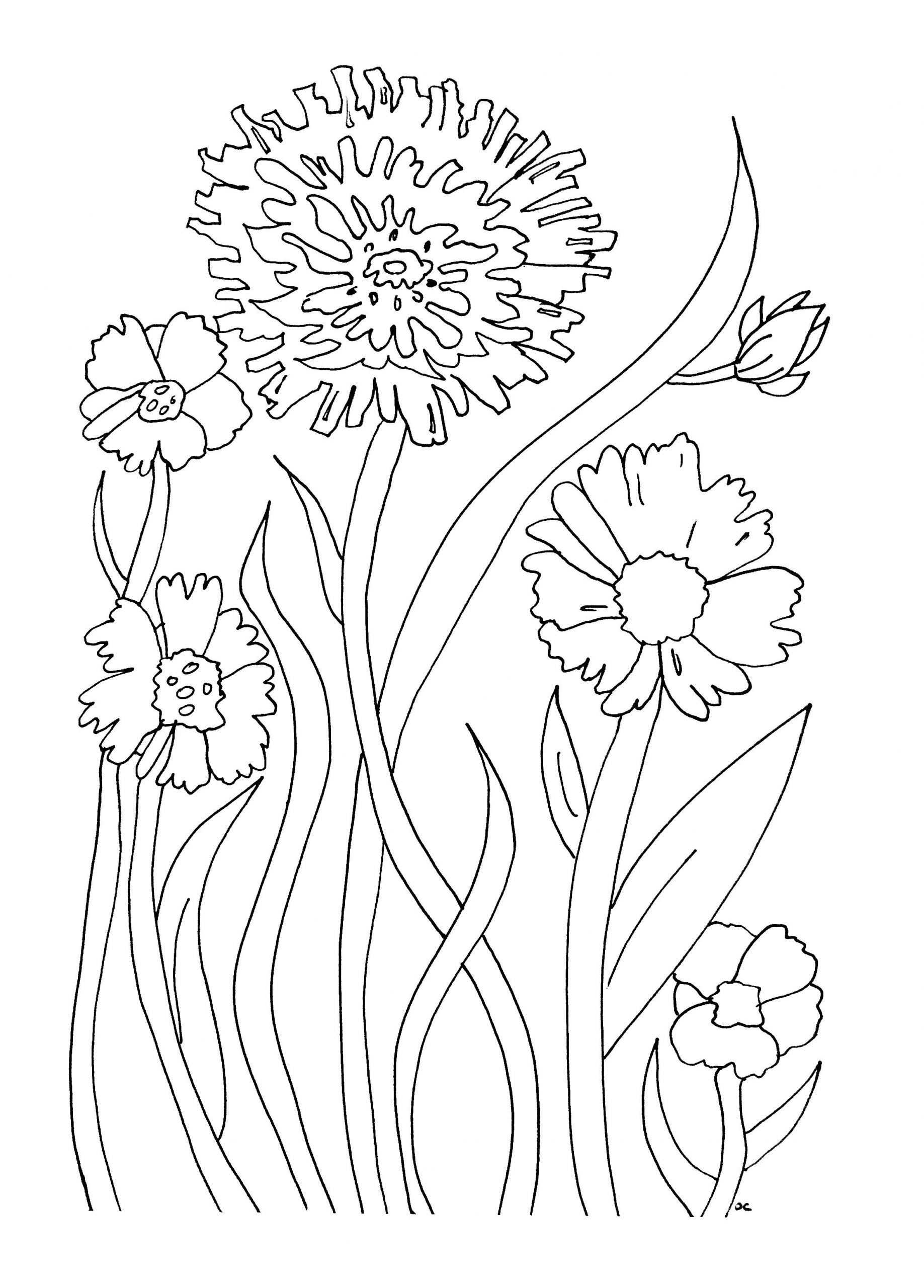 Flowers Coloring Pages For Kids
 Free Printable Flower Coloring Pages For Kids Best