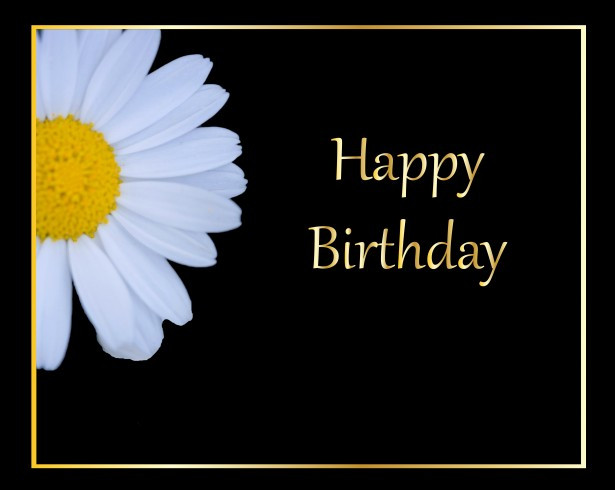 Free Birthday Cards Online No Membership
 Daisy Flower Birthday Card Free Stock Public