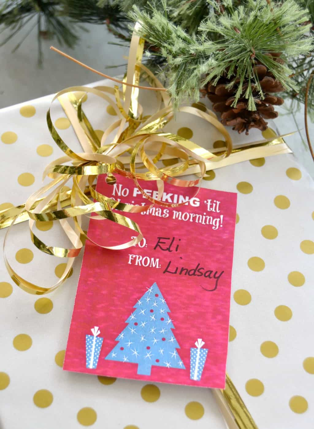 Free Christmas Gifts For Children
 FREE Printable Christmas Gift Tags That Will Add