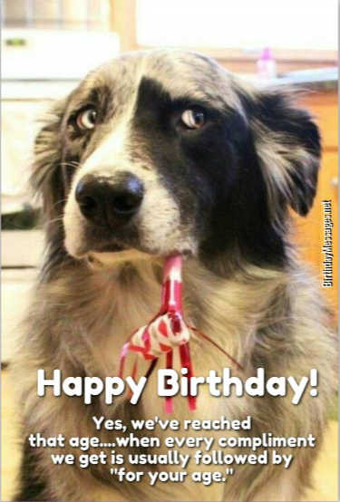 Free Funny Birthday Wishes
 Funny Birthday Wishes & Birthday Quotes Funny Birthday