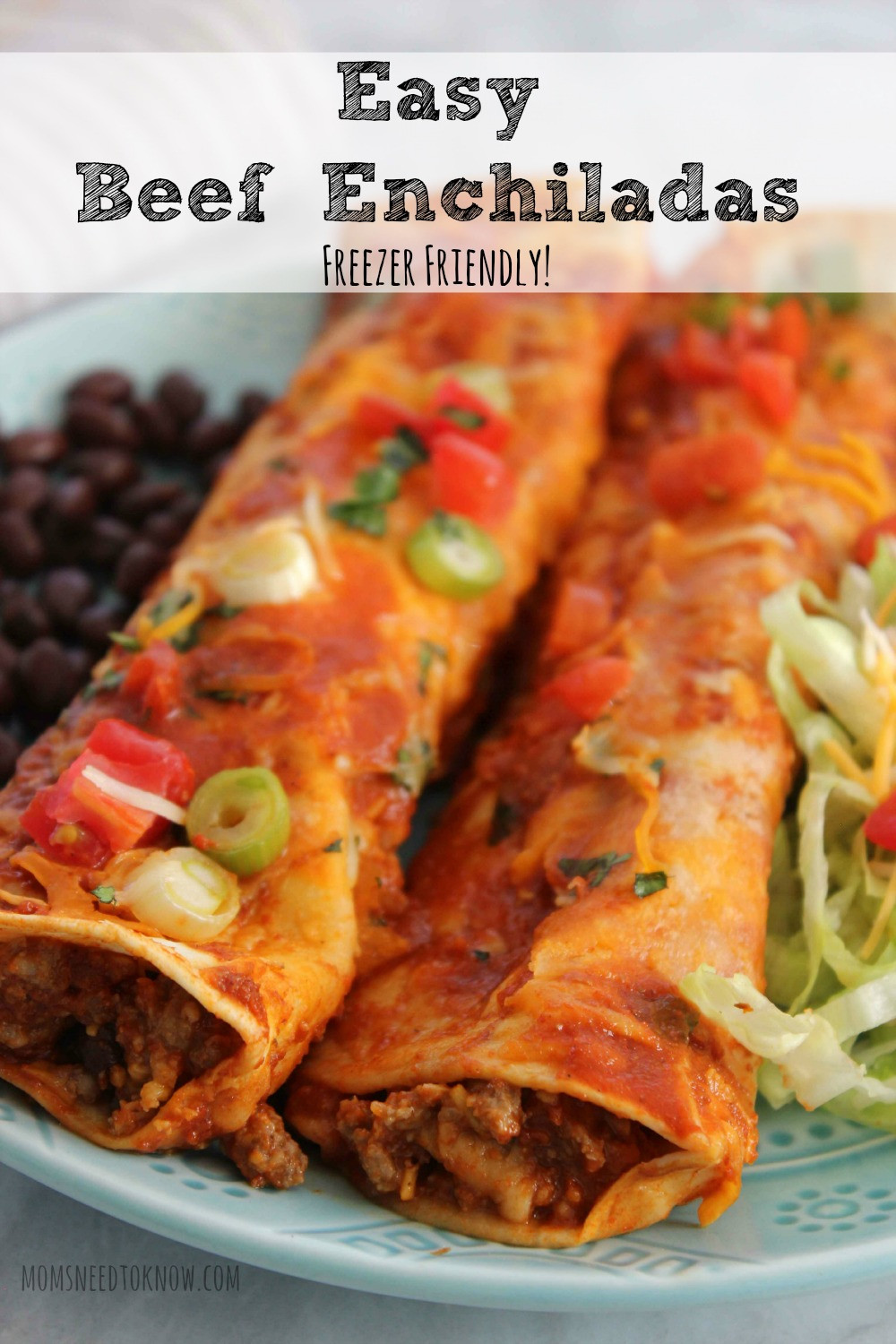 Freezer Beef Enchiladas
 Easy Beef Enchiladas Freezer Friendly Meal