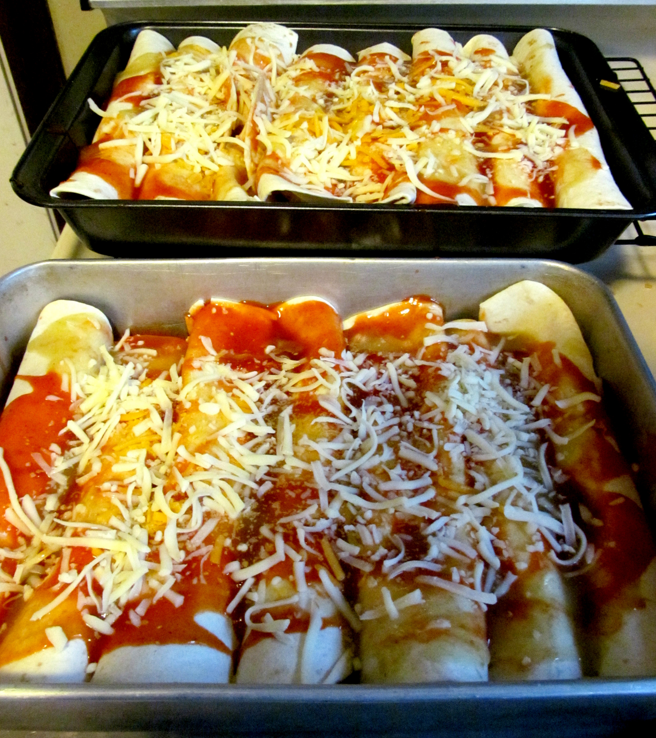 Freezer Chicken Enchiladas
 Freezer Chicken Enchiladas