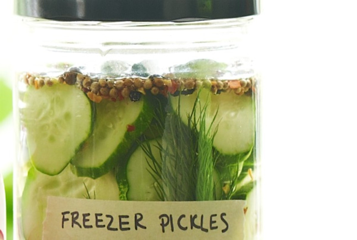 Freezer Dill Pickles
 DIY Pickles The Whole Family Will Love Joy of Kosher