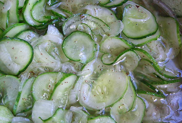 Freezer Dill Pickles
 Fast Freezer Pickle Slices Simple Daily Recipes