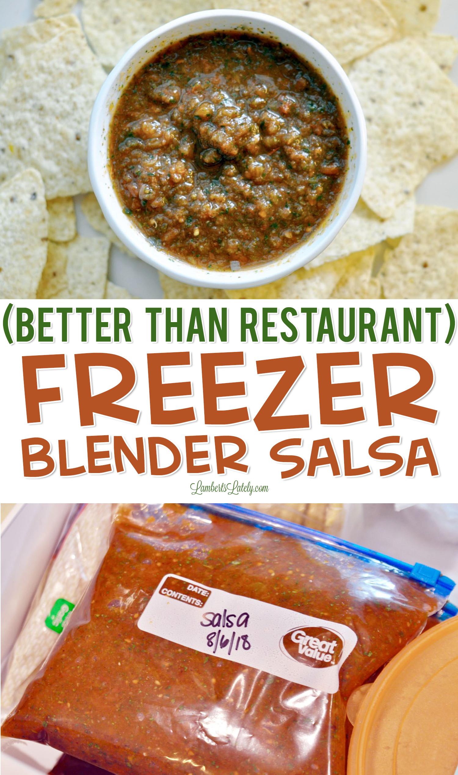 Freezer Salsa Recipe With Fresh Tomatoes
 Better Than Restaurant Freezer Blender Salsa