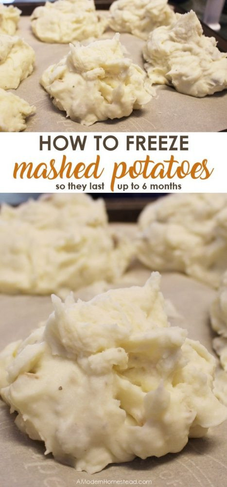 Freezing Mashed Potatoes
 How to Freeze Mashed Potatoes Single Servings or Family Size