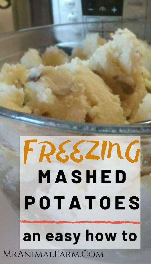 Freezing Mashed Potatoes
 Can You Freeze Mashed Potatoes A Food Preservation Guide