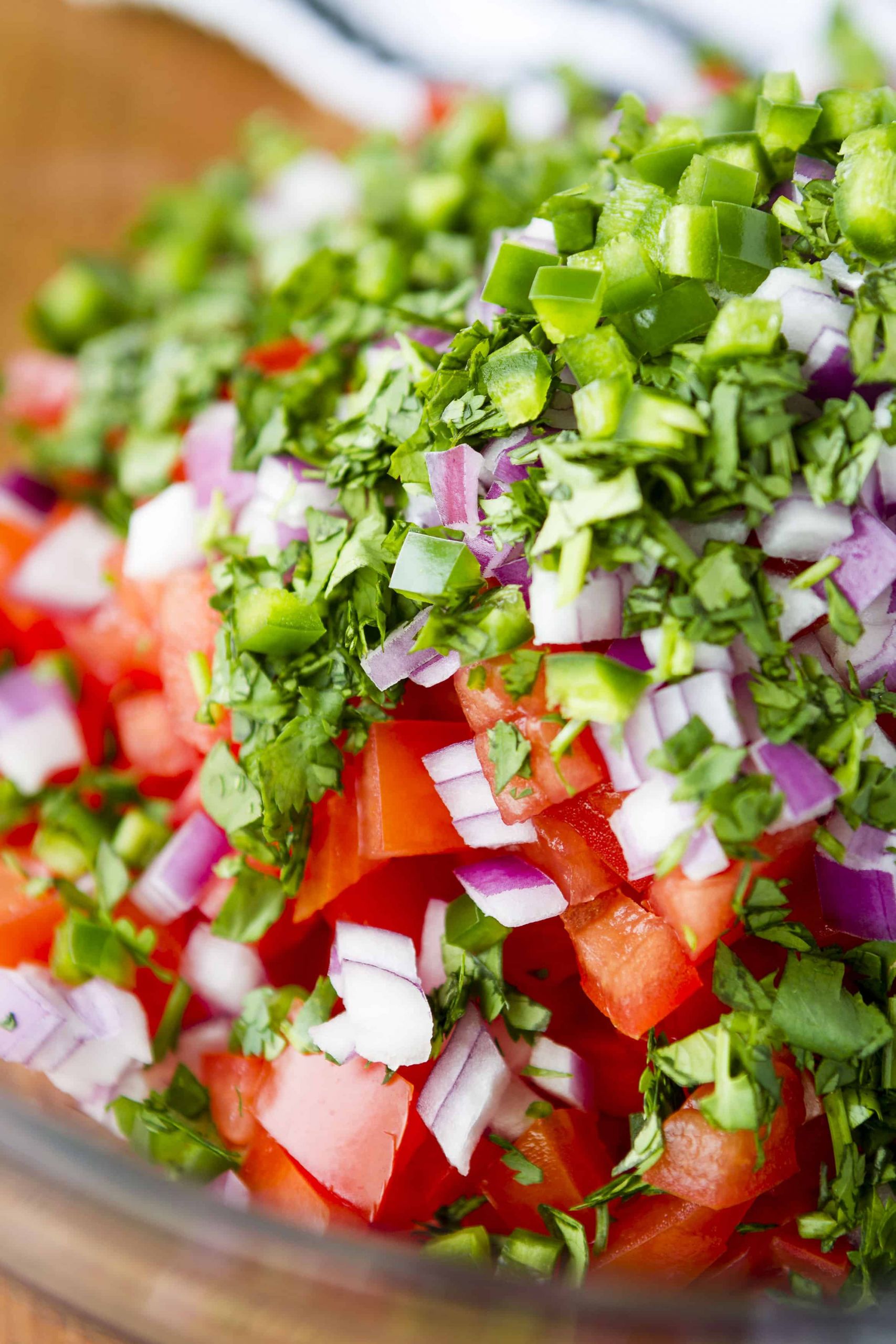 Fresh Garden Salsa Recipe
 5 Ingre nt Homemade Fresh Tomato Salsa