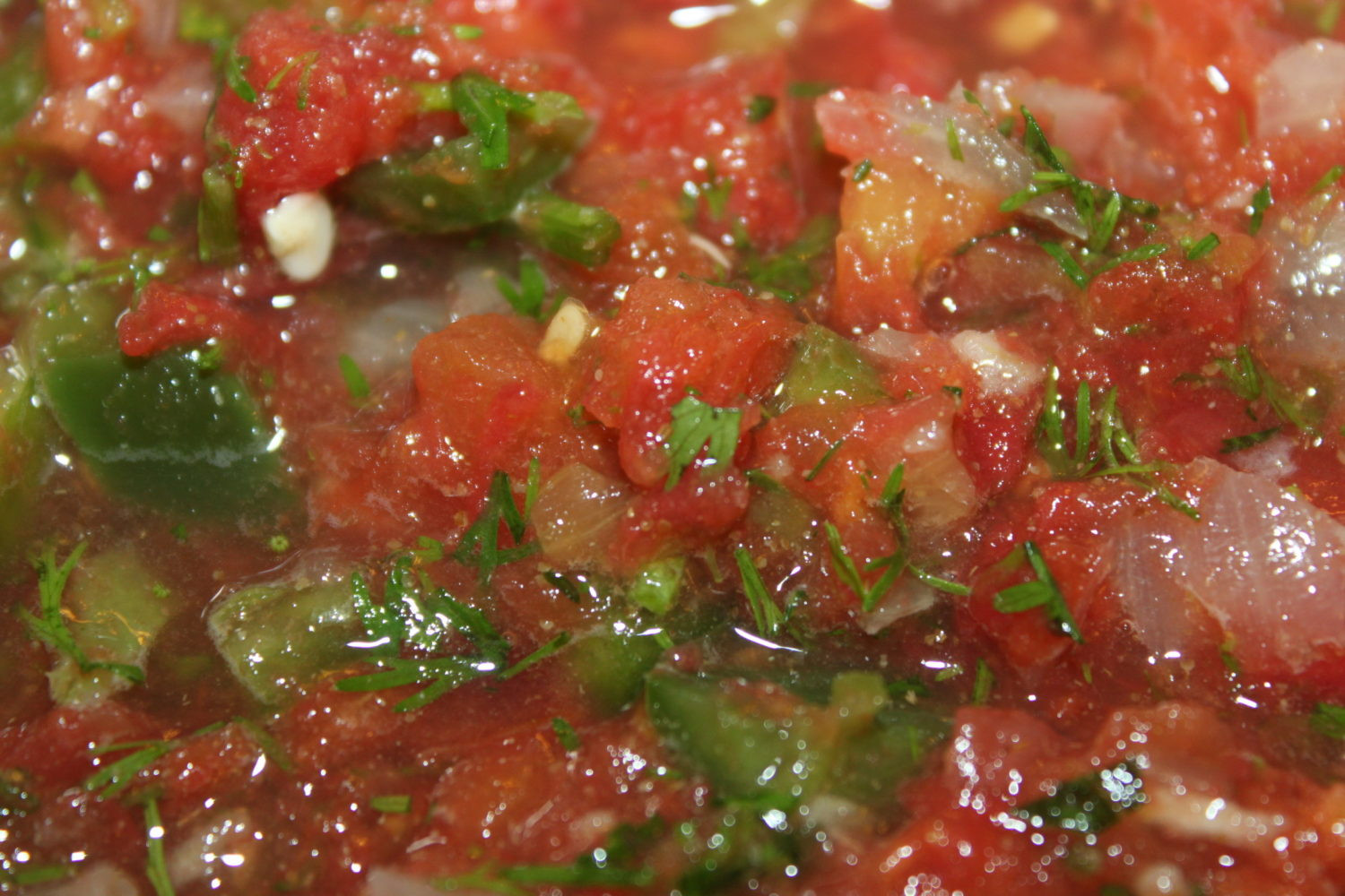 Fresh Garden Salsa Recipe
 Fresh Garden Salsa Recipe Ready to Eat In Minutes