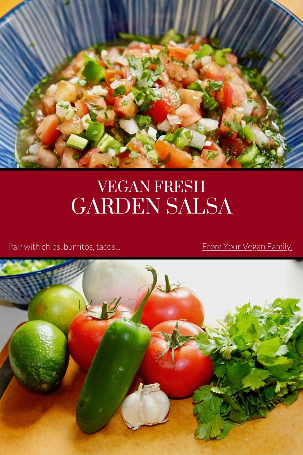 Fresh Garden Salsa Recipe
 Homemade Fresh Garden Salsa Recipe Chop Stir Eat Simple