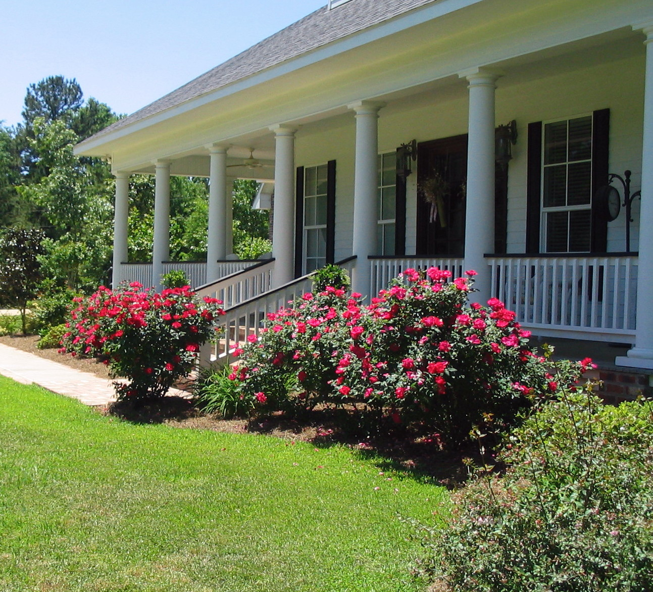 Front Porch Landscape
 A Southern Belle Dishes on Decor My Life on the Front Porch