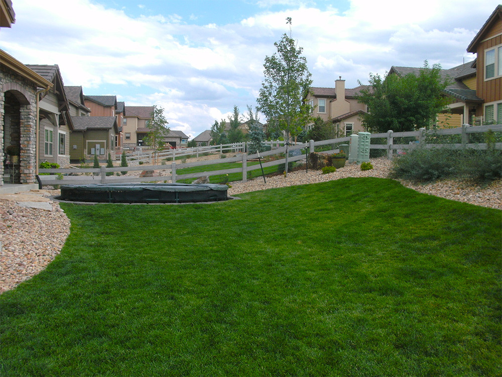 Front Range Landscape
 Gates Residence Frontrange Landscape