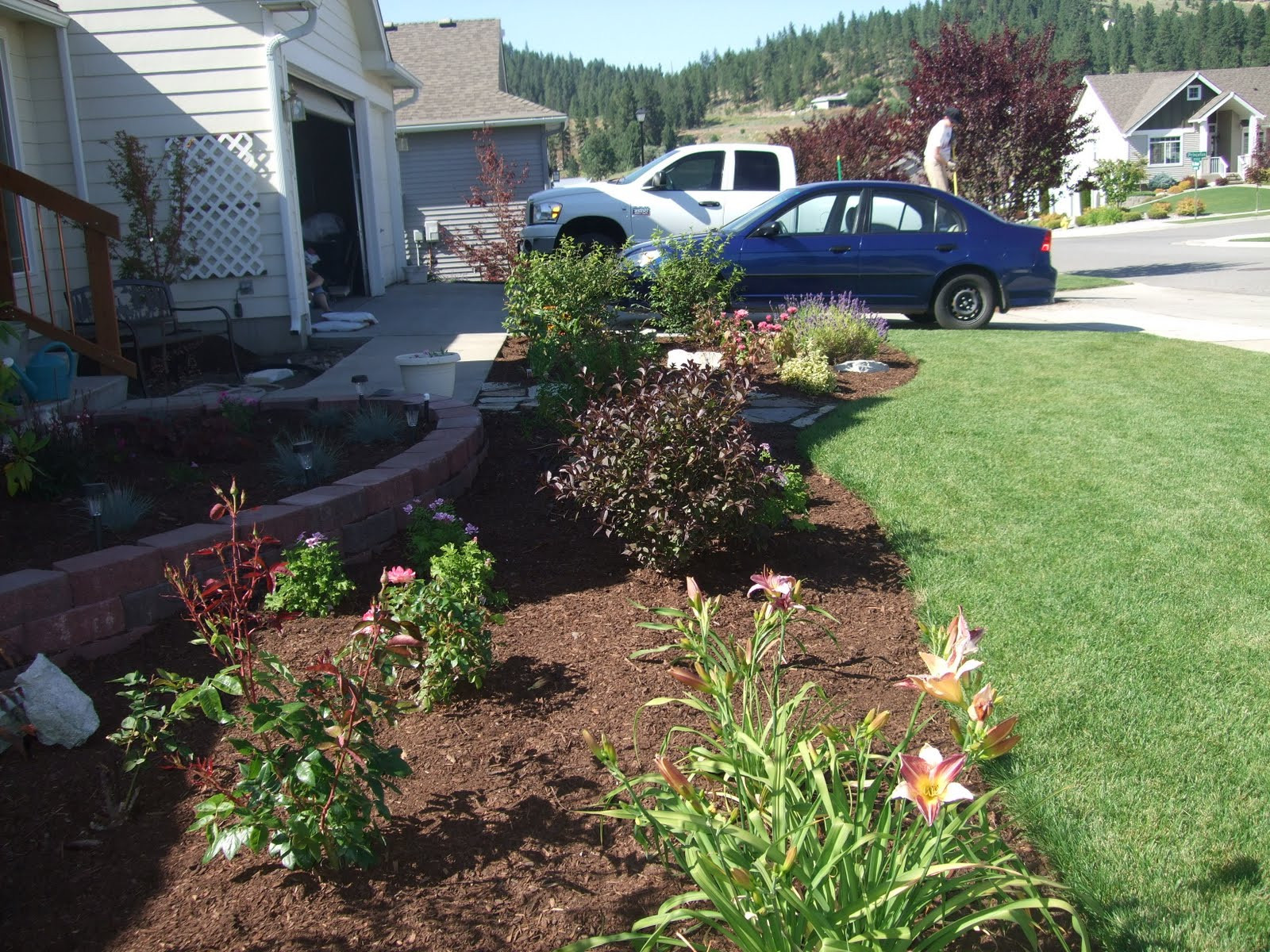 Front Yard Landscape Picture
 THE FOLKS AT HOME Front Yard Landscaping