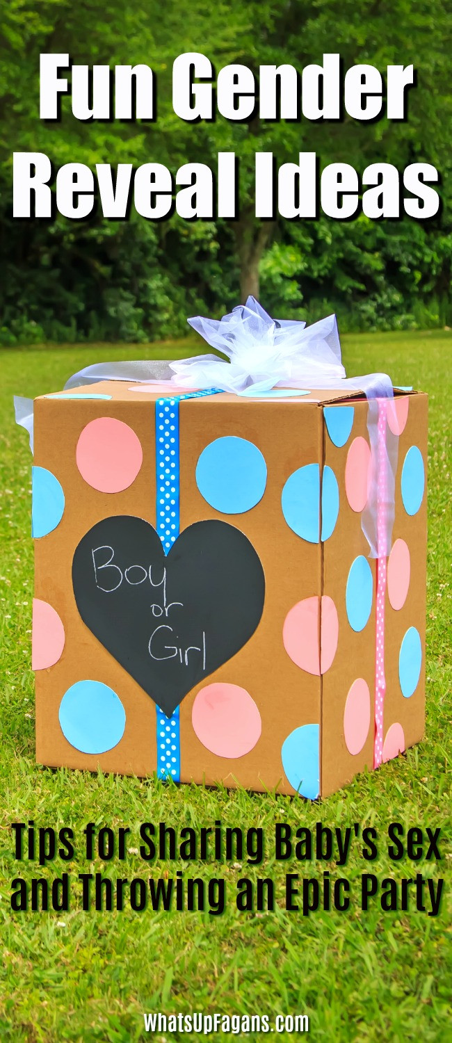 Fun Gender Reveal Party Ideas
 What s up Fagans