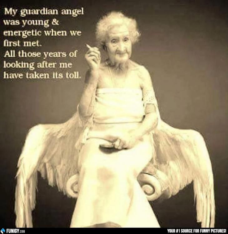 Funny Angel Quotes
 17 Best images about Funny From on Pinterest