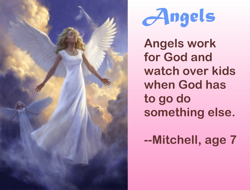 Funny Angel Quotes
 Funny Angel Quotes QuotesGram