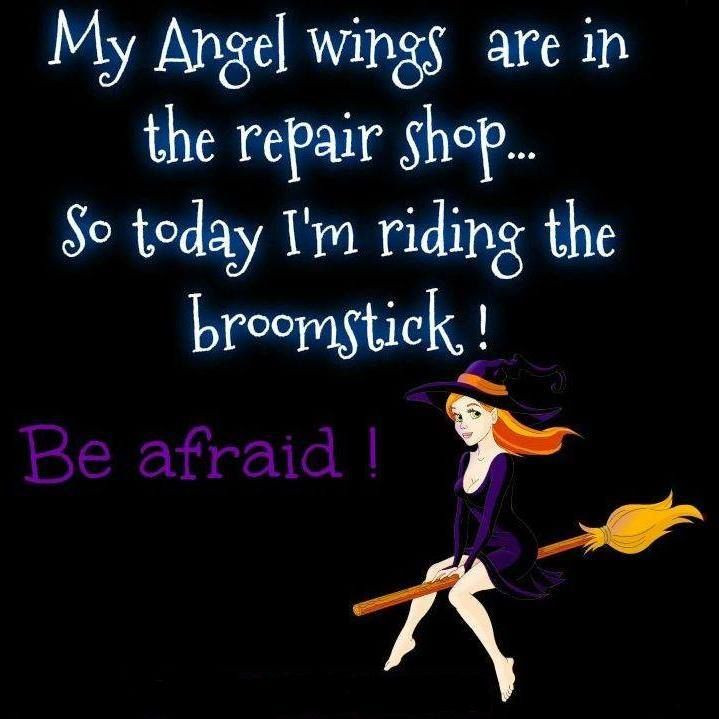 Funny Angel Quotes
 My Angel wings are in the repair shop today I m