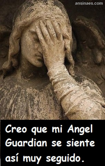 Funny Angel Quotes
 Guardian Angel Funny Quotes QuotesGram