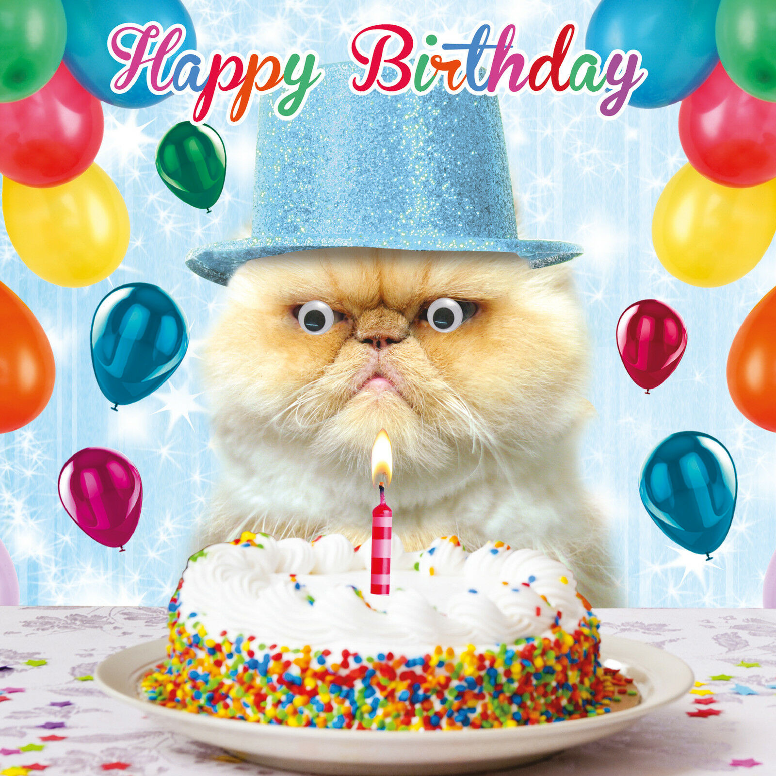 Funny Animal Birthday Cards
 Funny Grumpy Cat Birthday Card Party Pooper Goggly Moving