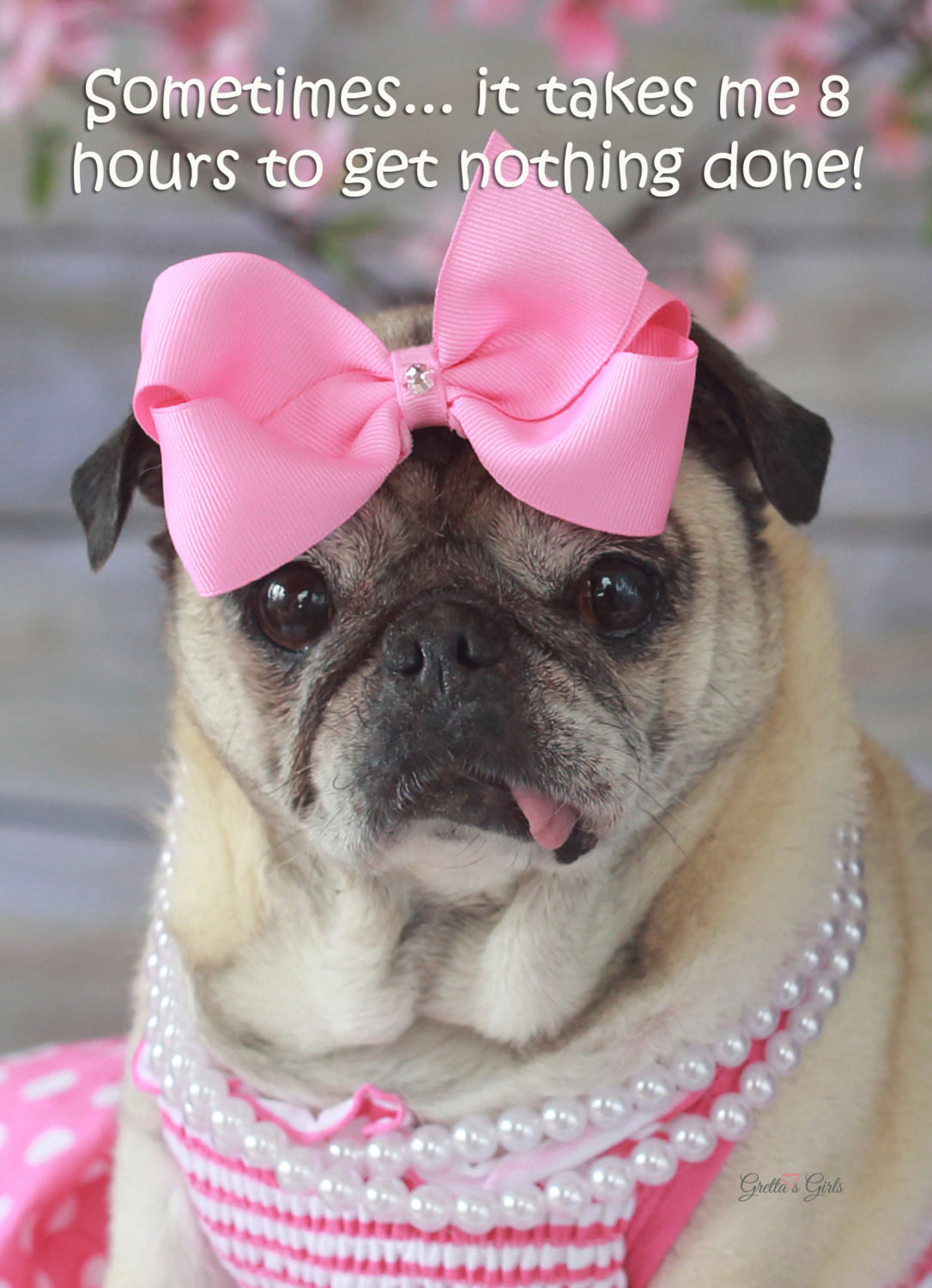 Funny Birthday Card Pics
 Funny Birthday Card for Her Pug Card Birthday Card 5x7