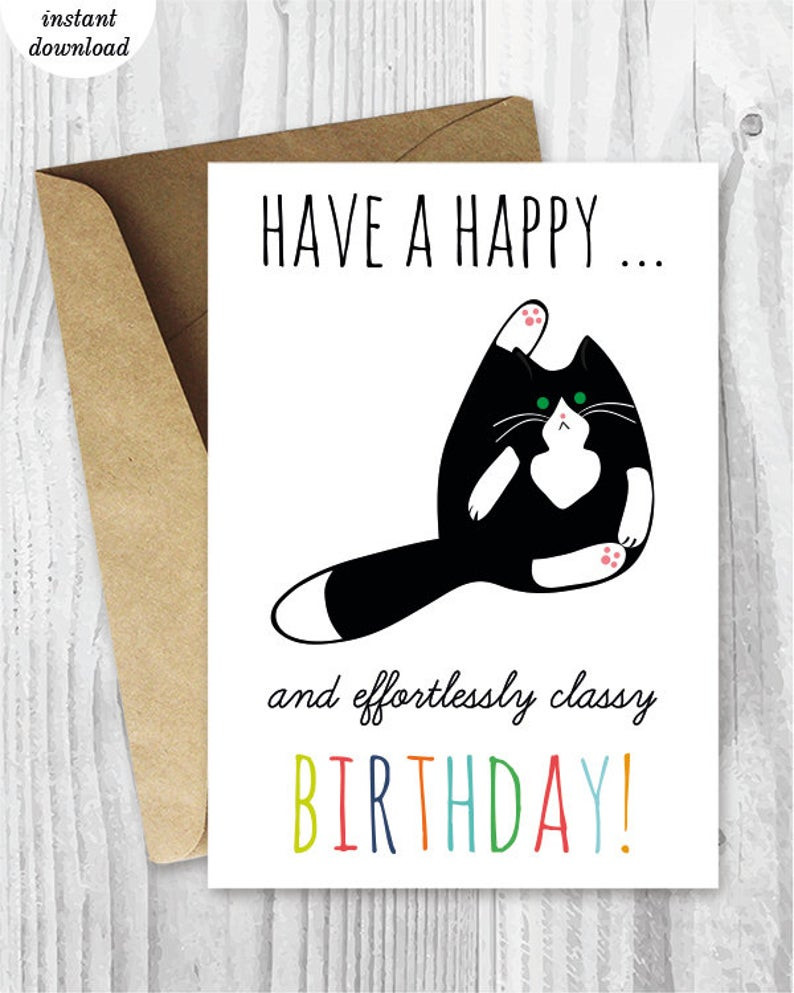 Funny Birthday Cards To Print
 Printable Birthday Cards Funny Cat Birthday Cards Instant