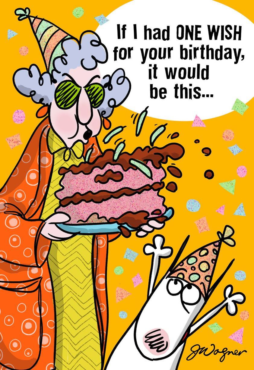 Funny Birthday E Card
 e Wish Funny Birthday Card Greeting Cards Hallmark