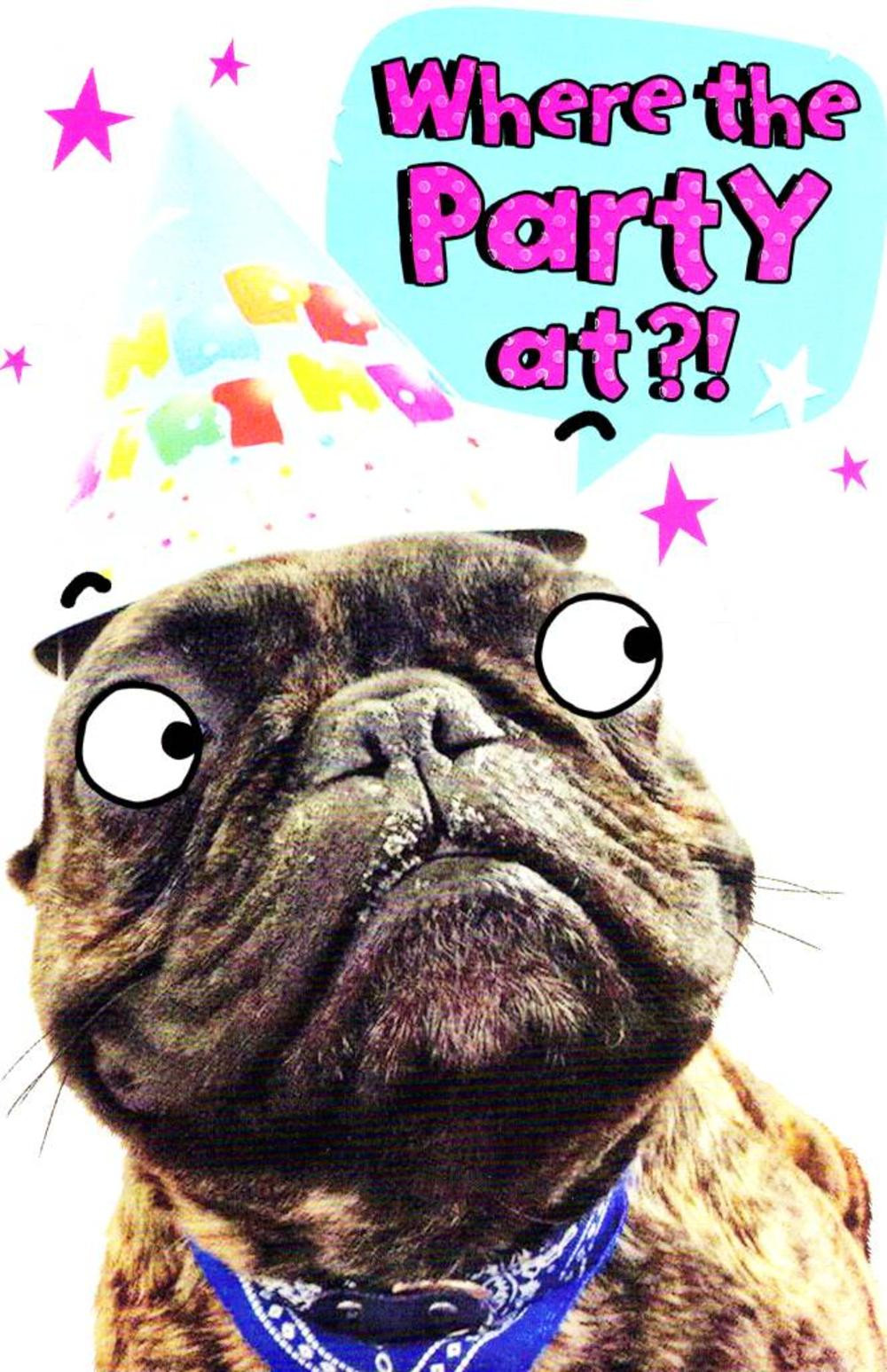 Funny Birthday Greeting Cards
 Funny Where s The Party Birthday Card Cards