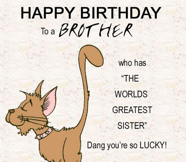 The top 21 Ideas About Funny Birthday Wishes to Brother - Home, Family ...