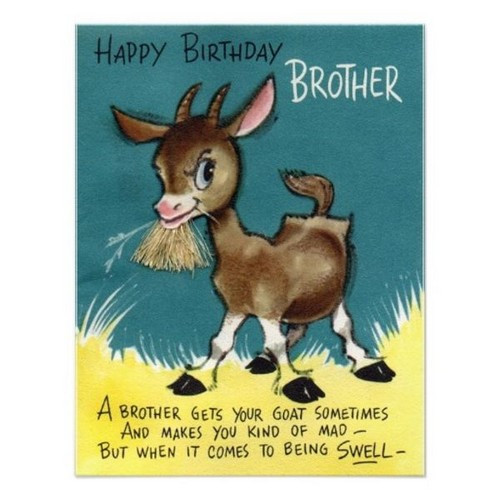 Funny Birthday Wishes To Brother
 Happy Birthday Crazy Brother Wishes