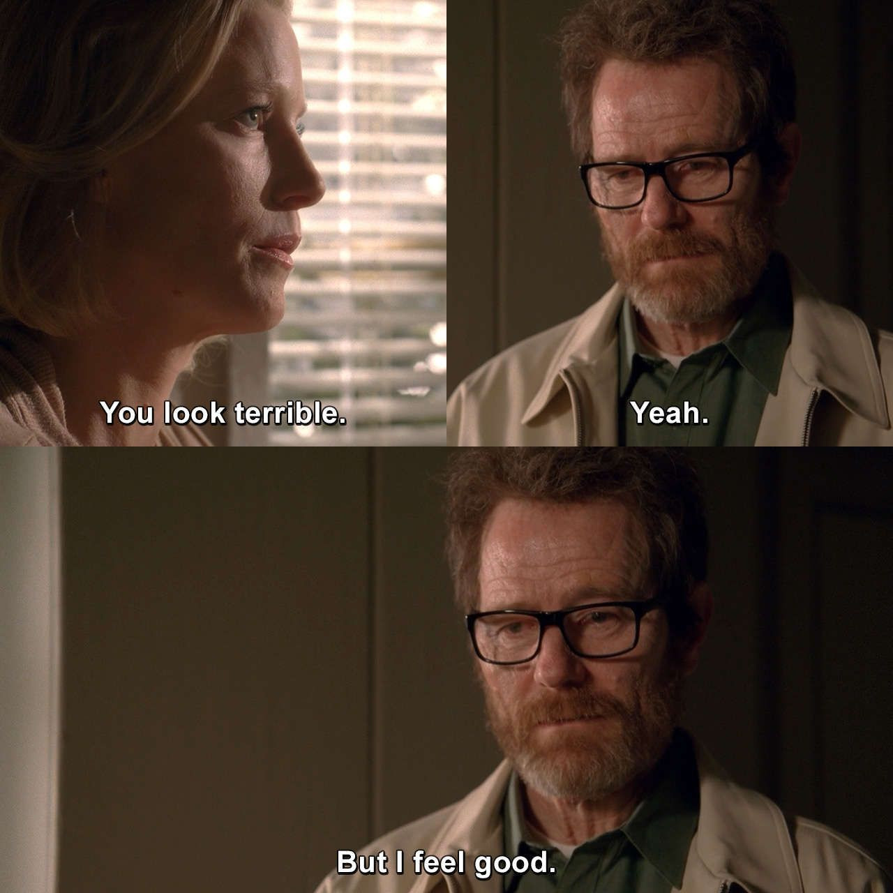 Funny Breaking Bad Quotes
 Funny Breaking Bad Quotes at tvgag