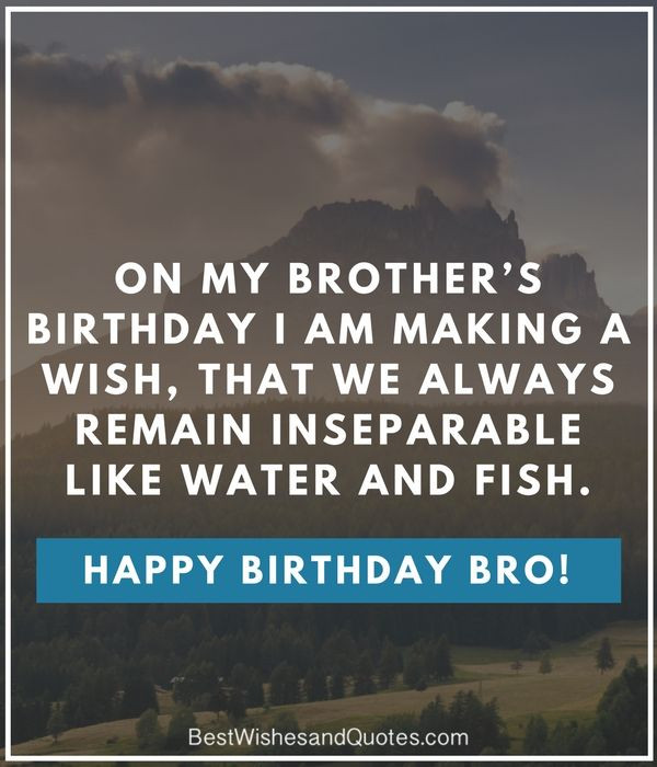 Funny Brother Birthday Quotes
 Birthday Quote For Brother Funny