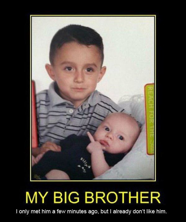 Funny Brother Birthday Quotes
 Happy Birthday Funny Older Brother Quotes QuotesGram