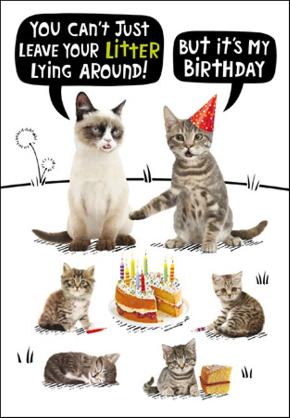 Funny Cat Birthday Card
 Cat Litter Birthday Funny Birthday Card